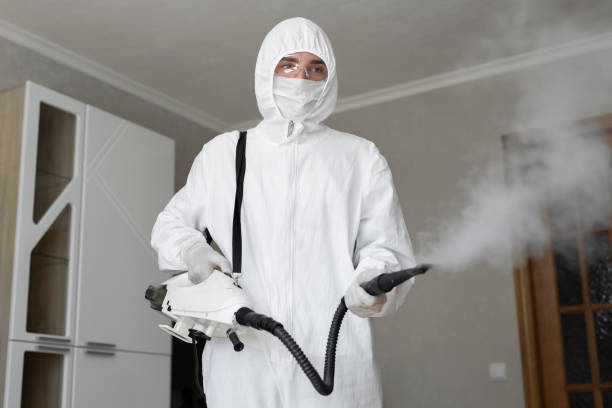 Best Mold Damage Restoration  in San Marino, CA